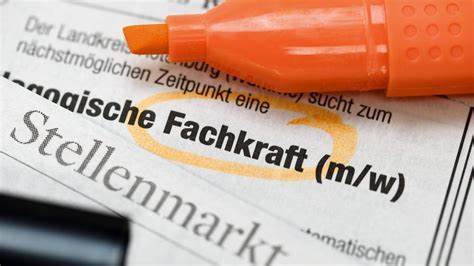 11FDP Schaumburg-Mitte sagt Nein zur steuerlichen Bevorzugung von ausländischen Fachkräften